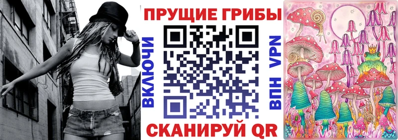дарнет шоп Хилок Псилоцибиновые грибы Cubensis